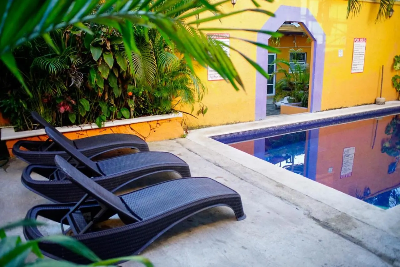 Weary Traveler Hostel Tulum