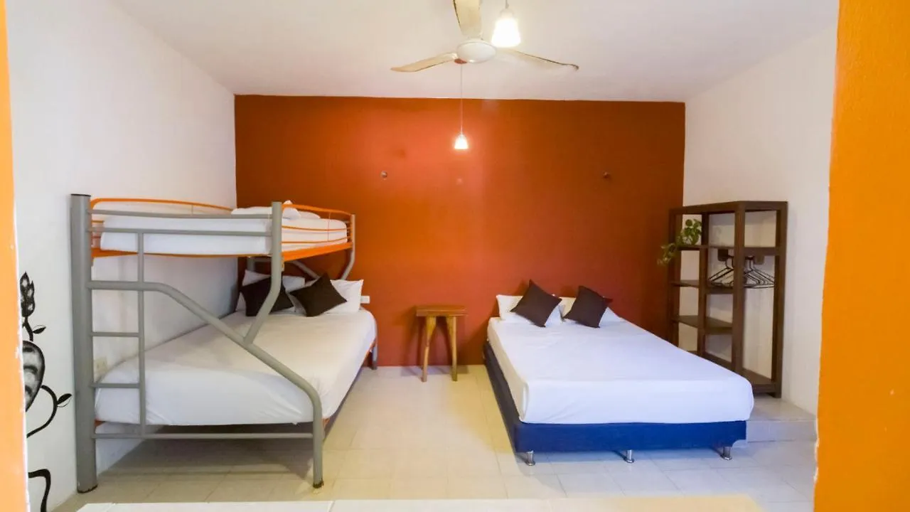 Weary Traveler Hostel Tulum
