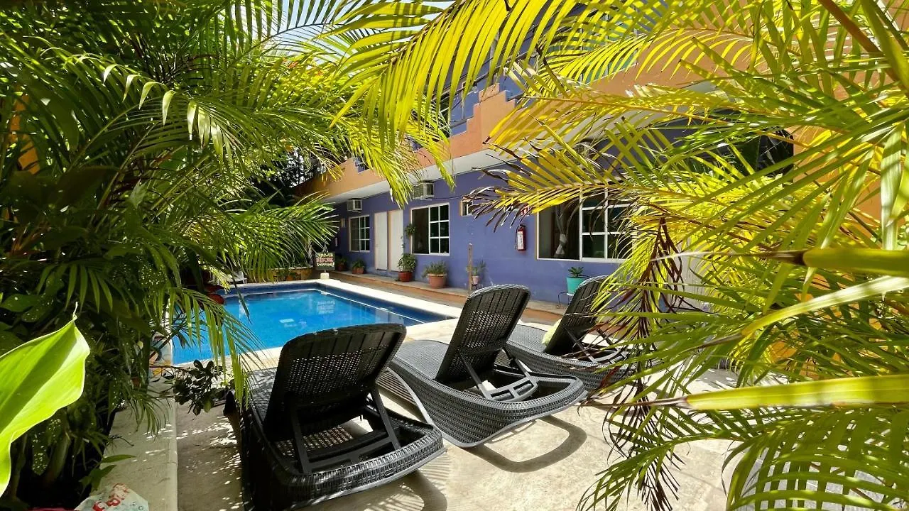 Weary Traveler Hostel Tulum 0*,