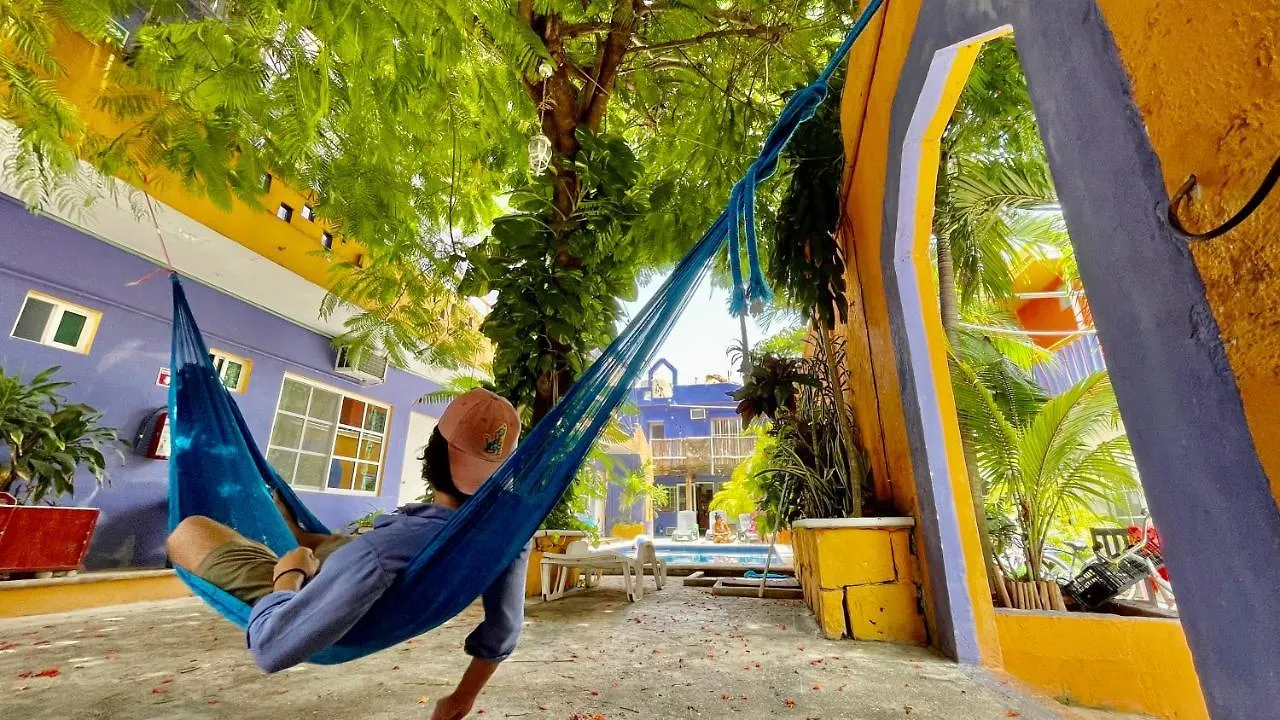 Weary Traveler Hostel Tulum